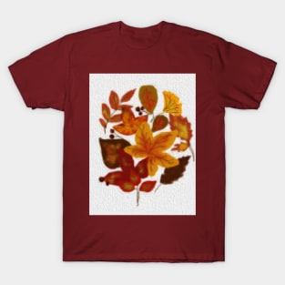 fall leaves composition. T-Shirt